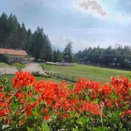 Gasthof Schneiderwiesen Laives Esterno foto