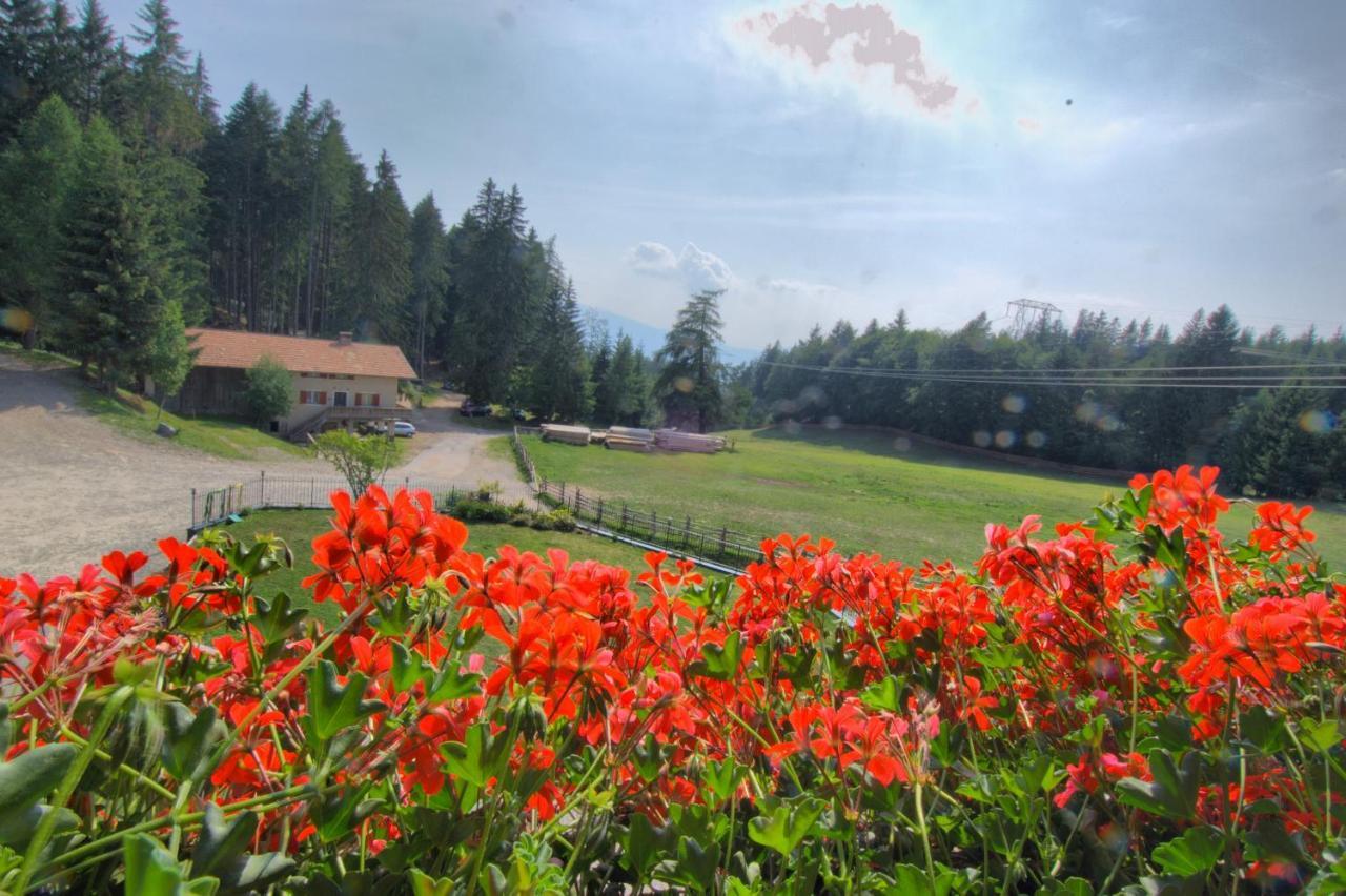 Gasthof Schneiderwiesen Laives Esterno foto