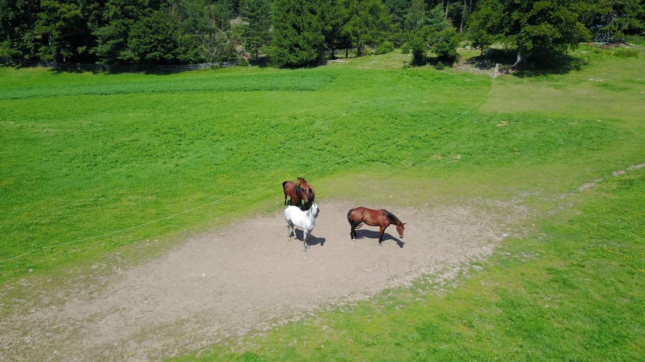 Gasthof Schneiderwiesen Laives Esterno foto
