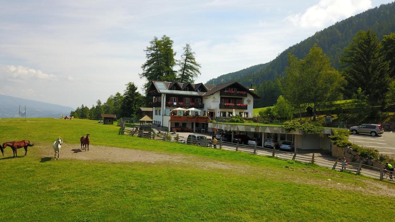 Gasthof Schneiderwiesen Laives Esterno foto